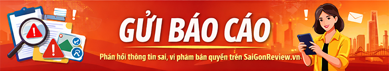 Gửi báo cáo và phản hồi