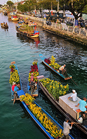 Quận 8